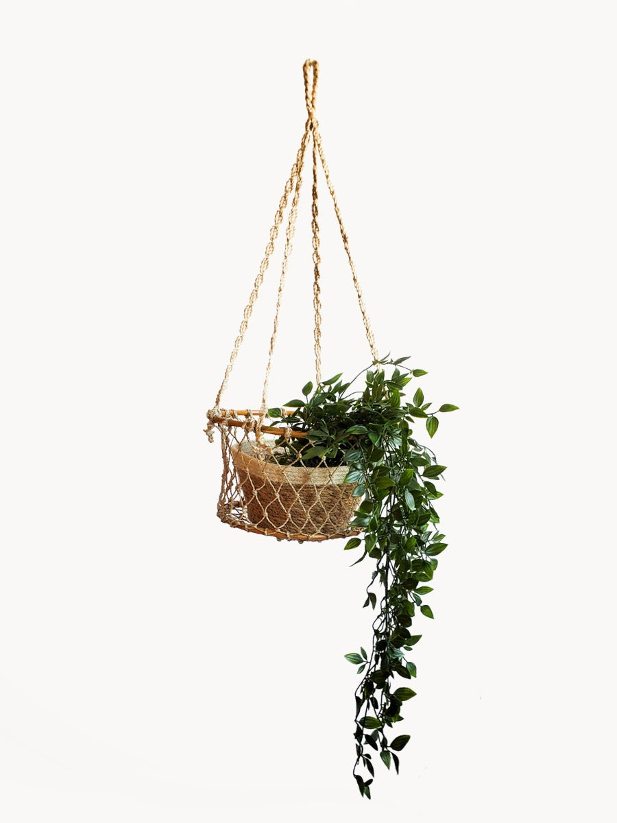 Jhuri Single Hanging Basket
